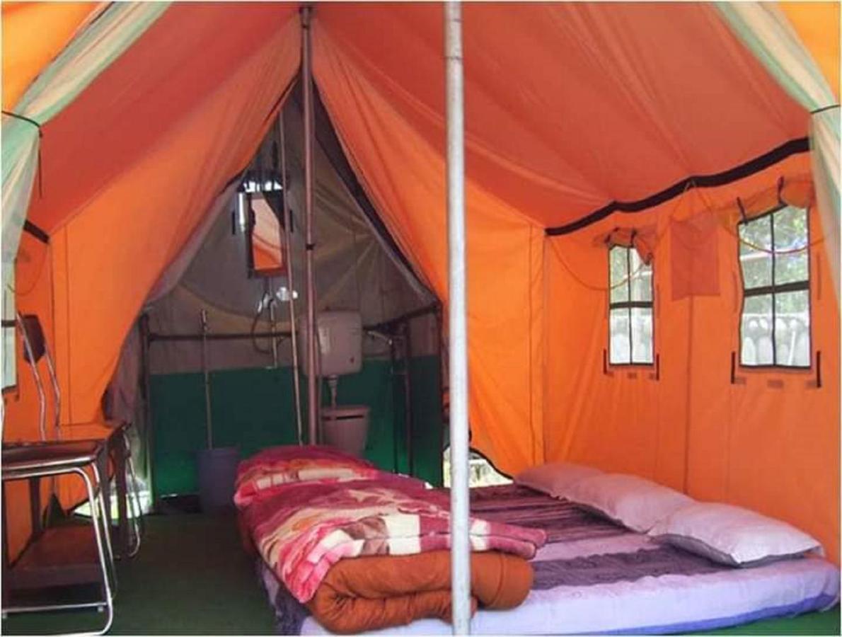 Manali Exotica Camping By Stayapart - Manali (Himachal Pradesh) — Photos 3